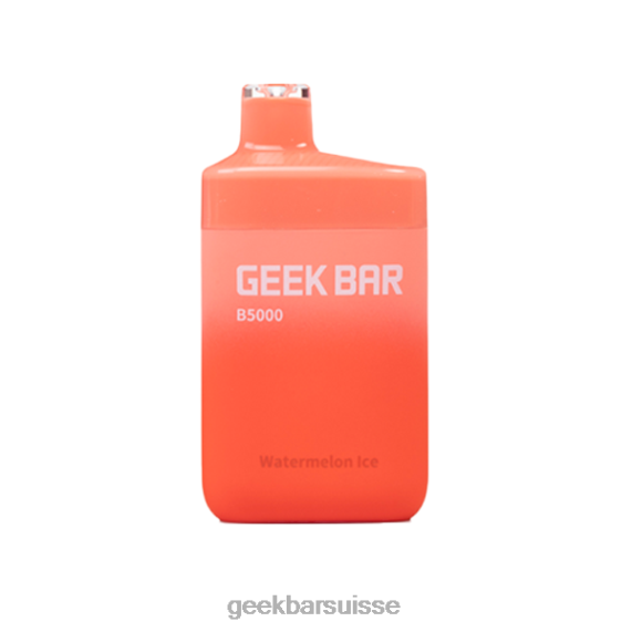 glace à la pastèque b5000 jetable - GEEK BAR store Geek Bar 22L2T39